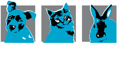 Acton Animal Hospital Logo White Tagline