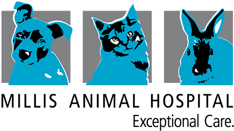 Millis Animal Hospital Logo Color Tagline