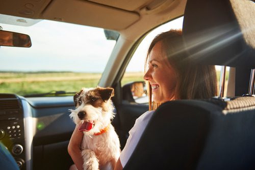 young-woman-sitting-in-the-passenger-seat-of-a-car-with-small-jack-russell-terrier-dog-in-her-lap