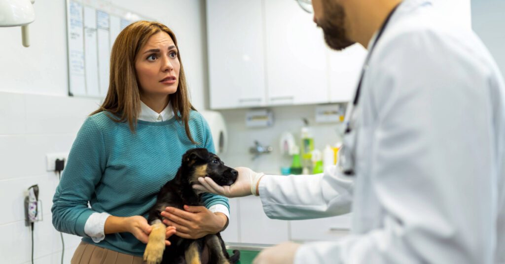 owner holding German shepherd puppy talking with male vet