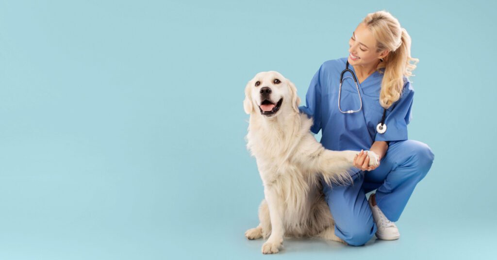 smiling female vet kneeling next to sitting golden retriever holding its paw