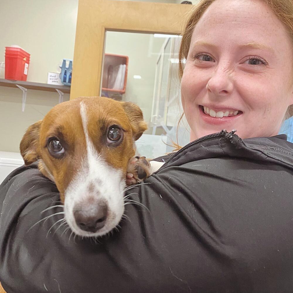 Close Up Of Staff Member Hugging Dog