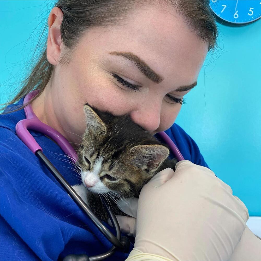 Doctor Snuggling Small Kitten