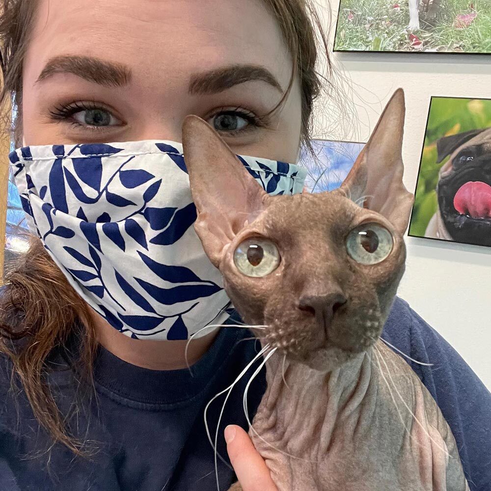 Staff Member Taking A Selfie With Hairless Cat