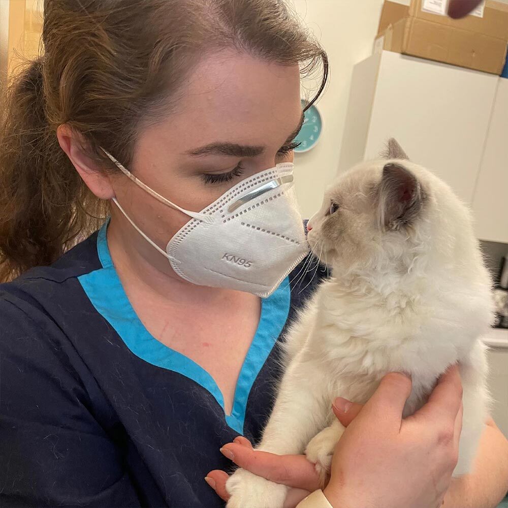 Vet Tech Snuggling Small Kitten