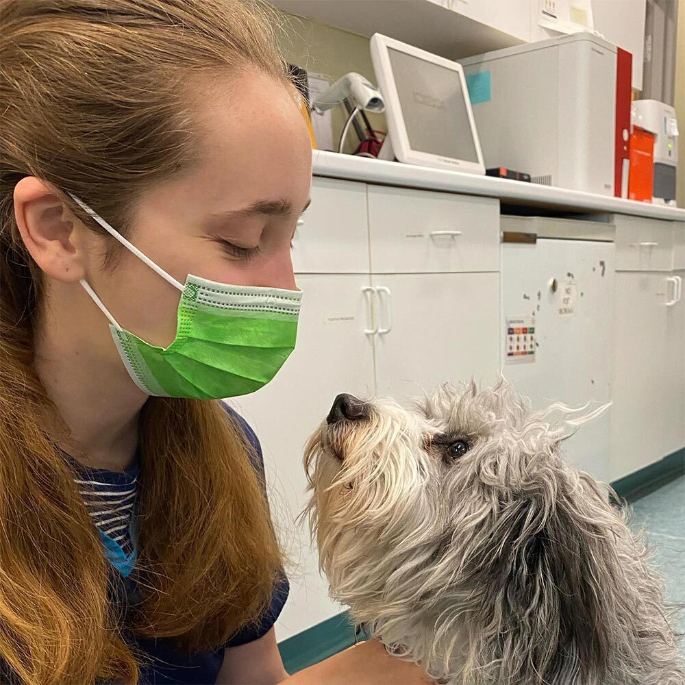 Vet Tech With Fluffy Dog